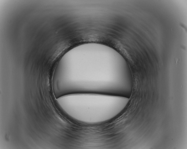 X0000098210251200804241108