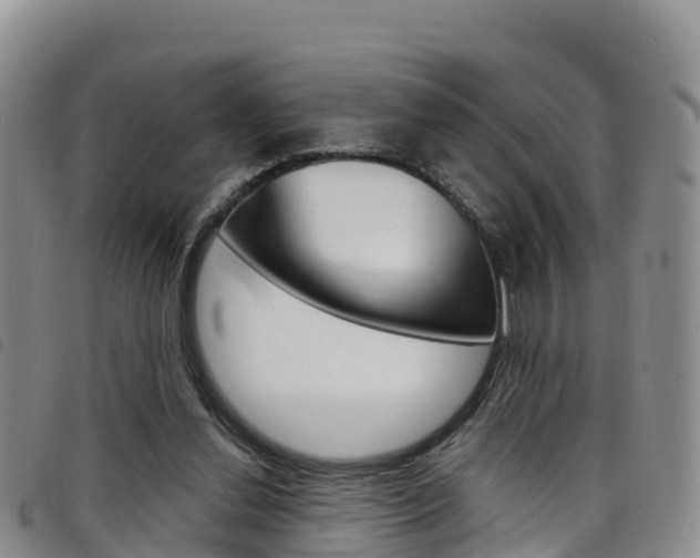 X0000098210252200804241108