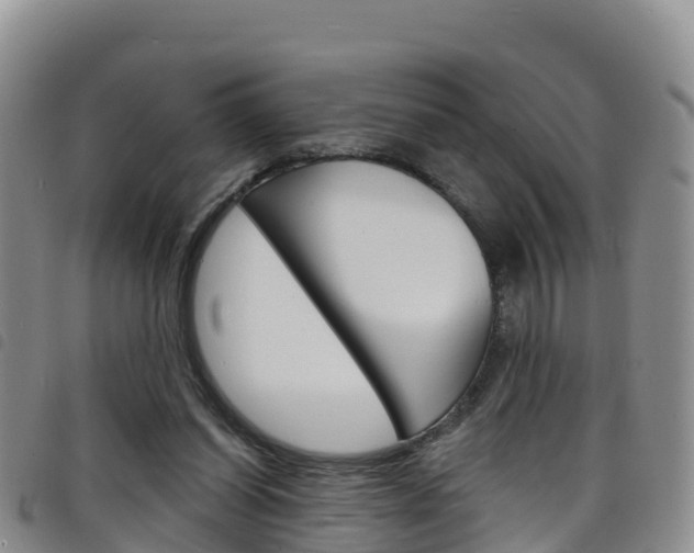X0000098210254200804241108