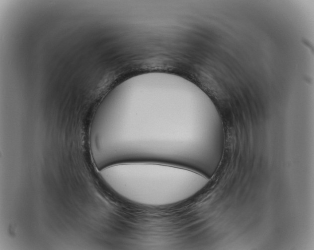 X0000098210255200804241108