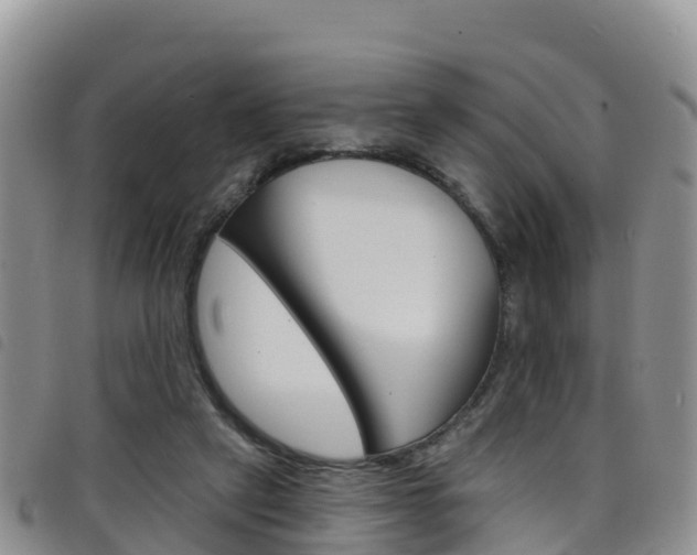 X0000098210257200804241108