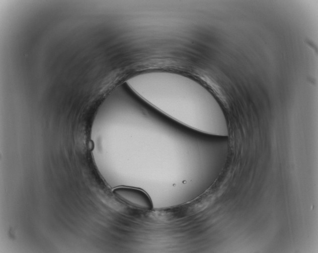 X0000098210261200804241108