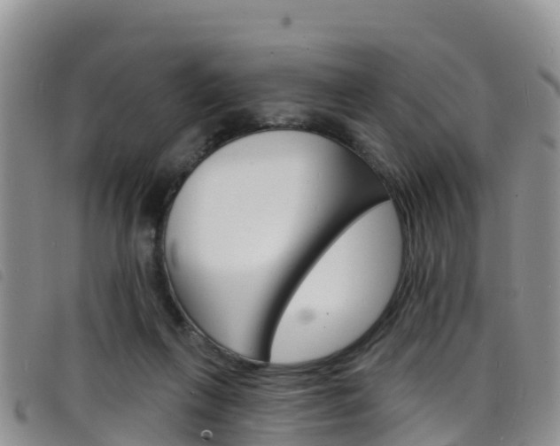 X0000098210263200804241108