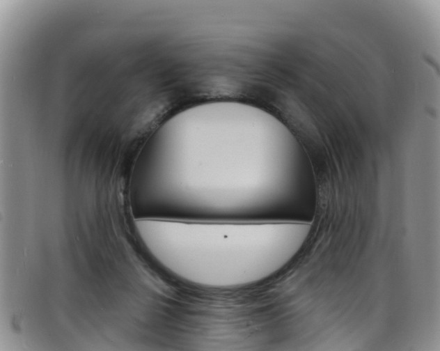 X0000098210264200804241108
