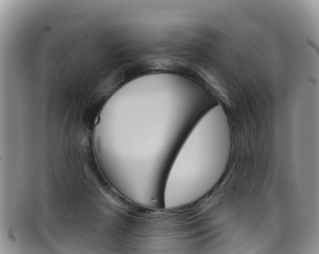 X0000098210265200804241108