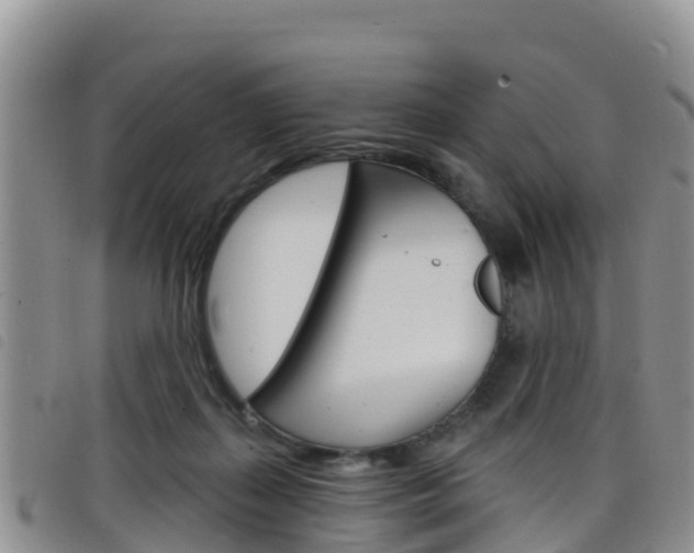 X0000098210267200804241108