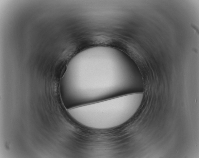 X0000098210268200804241108