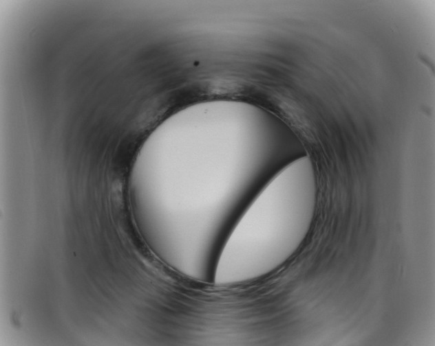 X0000098210269200804241108