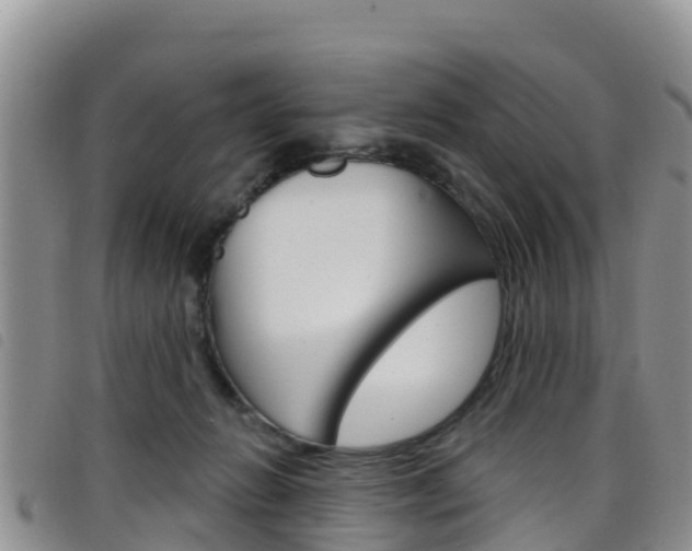 X0000098210270200804241108