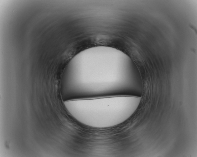 X0000098210271200804241108