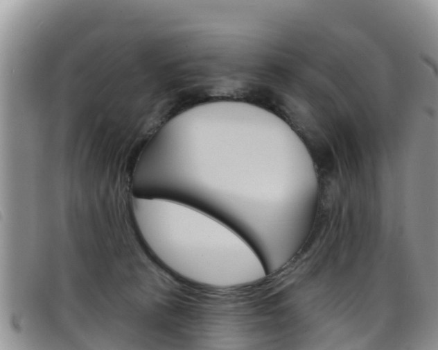 X0000098210273200804241108