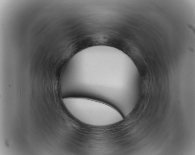 X0000098210274200804241108