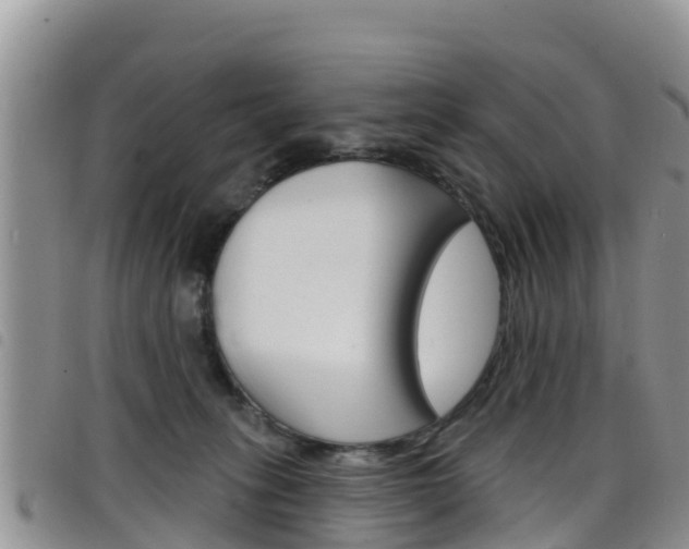 X0000098210275200804241108