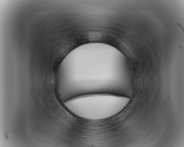 X0000098210277200804241108