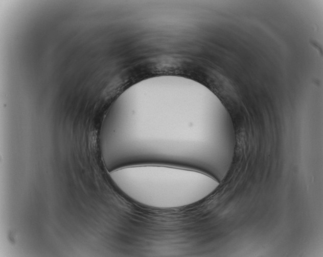 X0000098210278200804241108