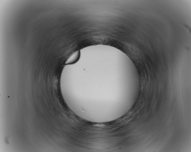X0000098210279200804241108