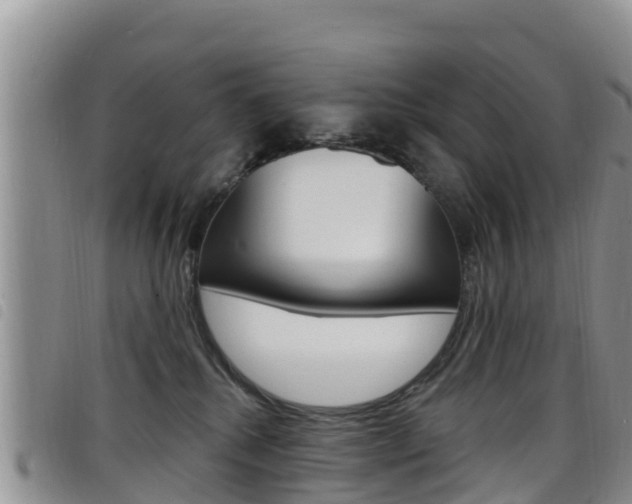 X0000098210280200804241108