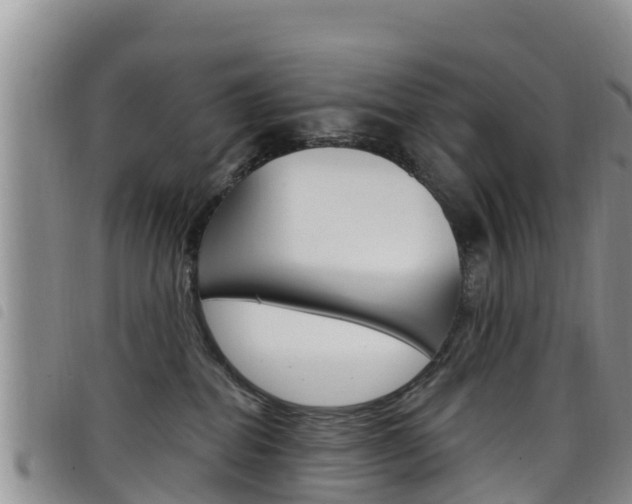 X0000098210282200804241108