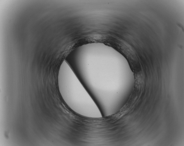 X0000098210284200804241108