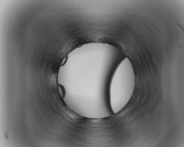 X0000098210286200804241108