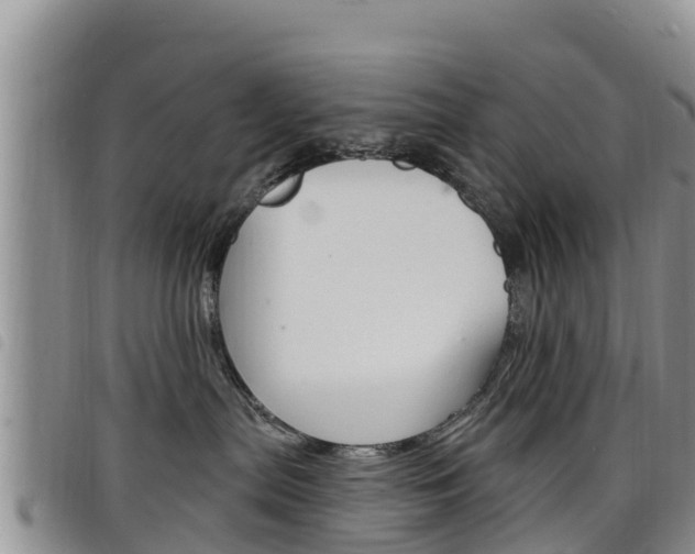 X0000098210287200804241108