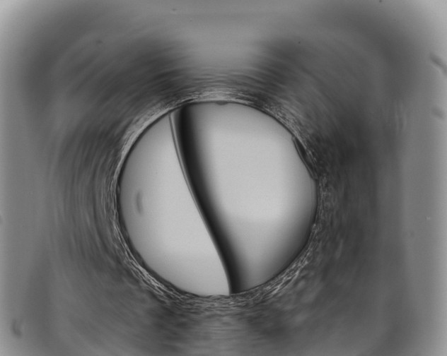 X0000098210289200804241108