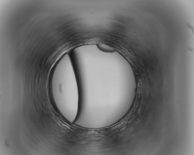 X0000098210290200804241108