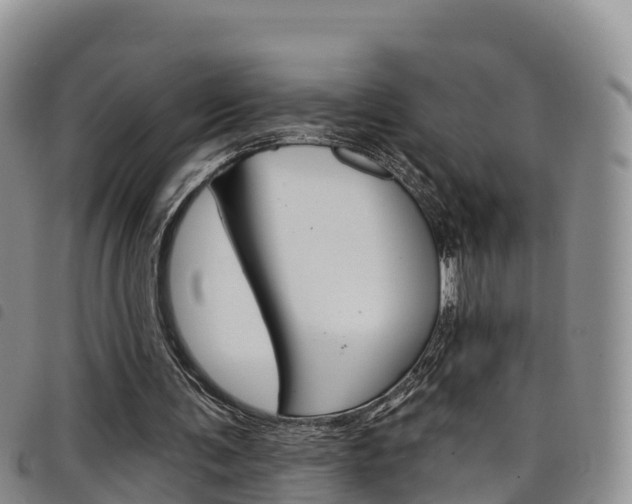 X0000098210291200804241108