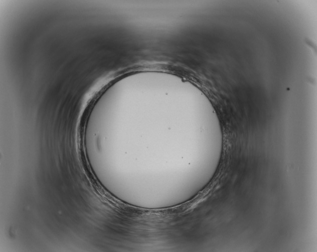 X0000098210294200804241108