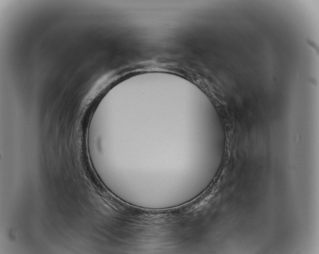 X0000098210295200804241108