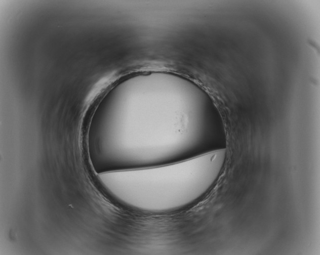 X0000098210296200804241108