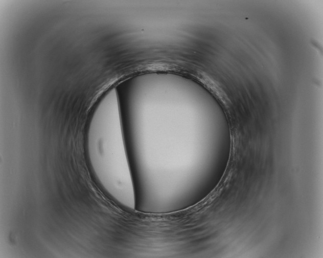 X0000098210297200804241108