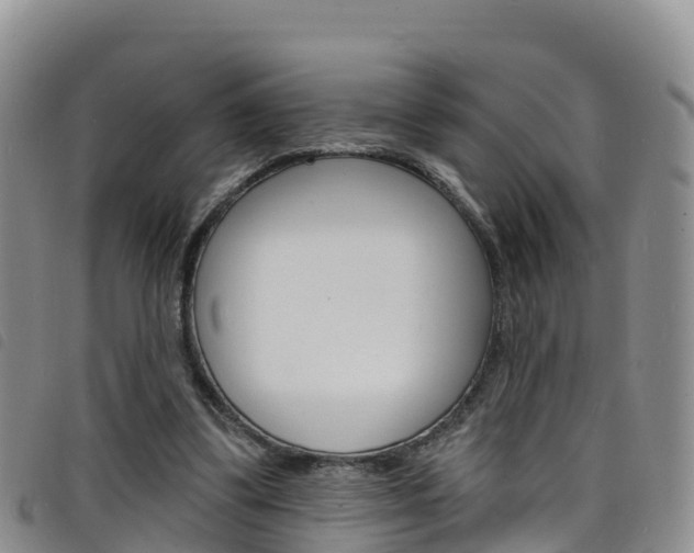 X0000098210299200804241108