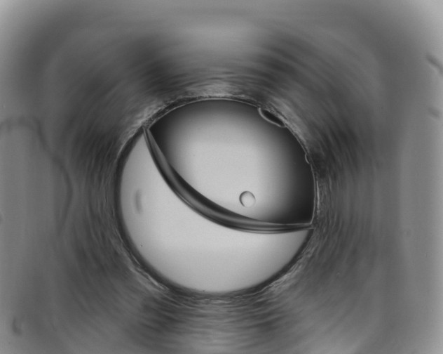 X0000098210301200804241108