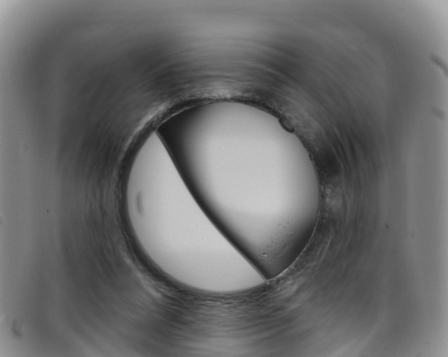 X0000098210304200804241108