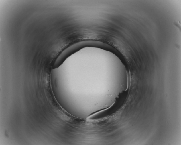 X0000098210305200804241108