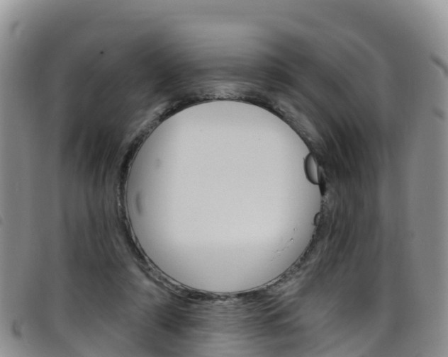 X0000098210306200804241108