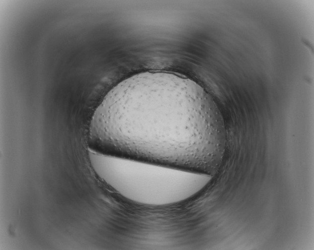 X0000098210307200804241108