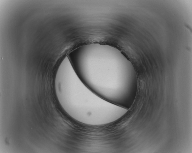 X0000098210308200804241108
