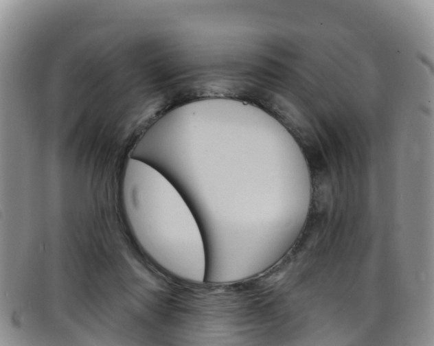 X0000098210310200804241108