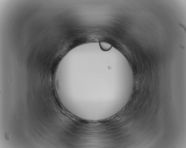 X0000098210314200804241107