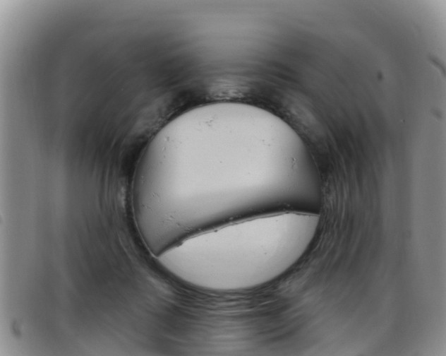 X0000098210315200804241107