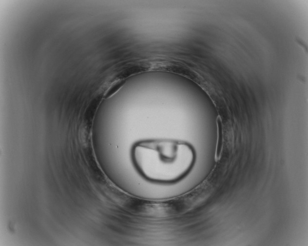 X0000098210316200804241107