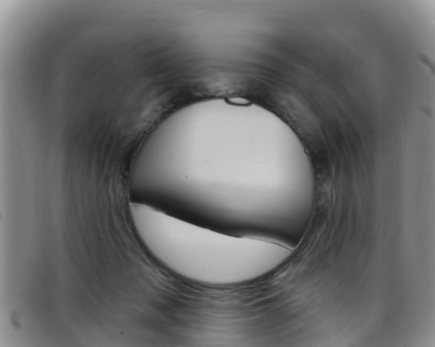 X0000098210317200804241107