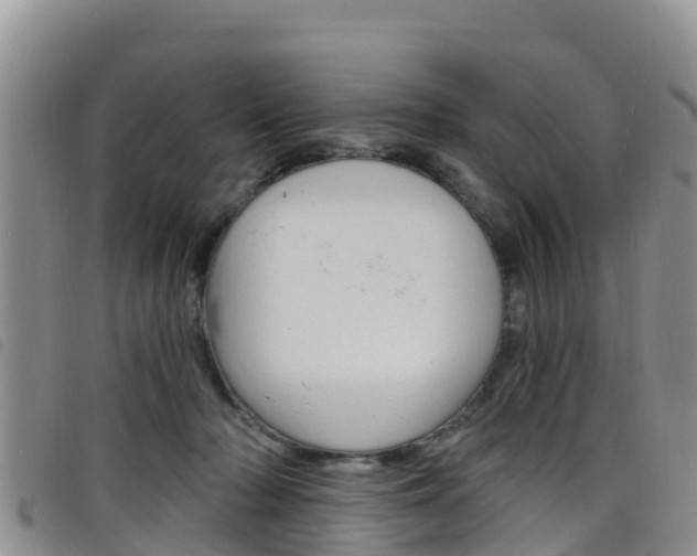 X0000098210318200804241107