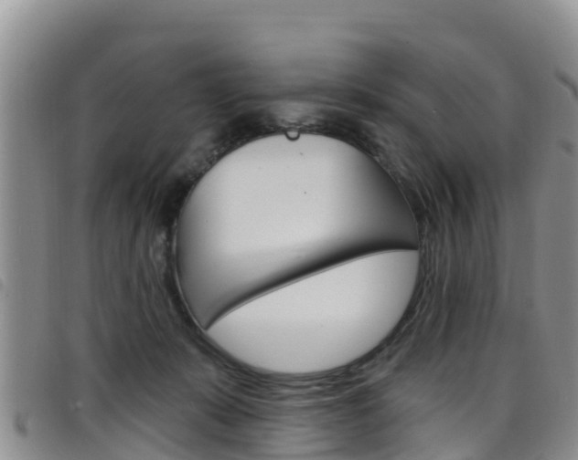 X0000098210319200804241107