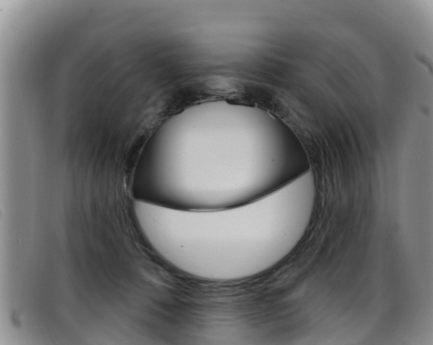 X0000098210320200804241107