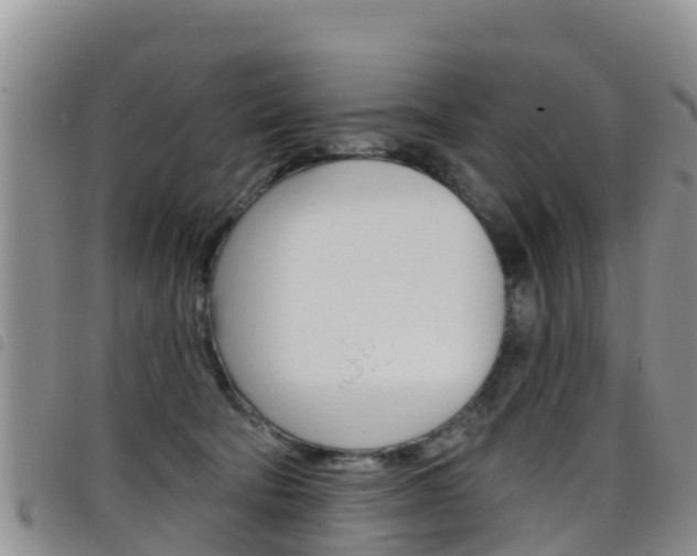 X0000098210322200804241107
