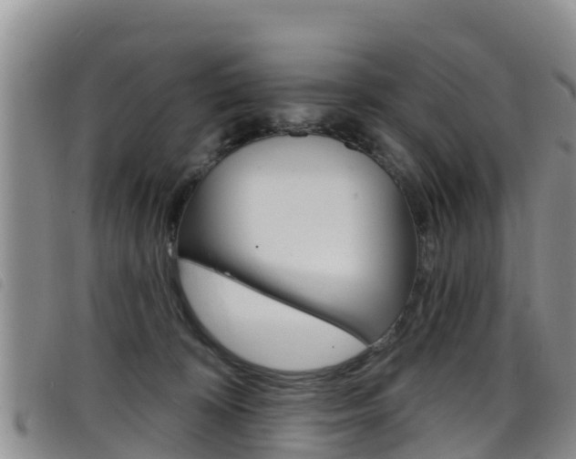 X0000098210324200804241107