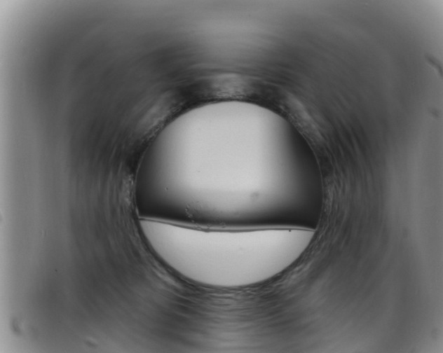 X0000098210325200804241107